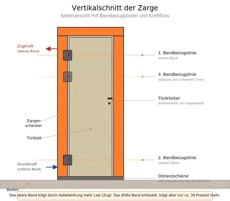 Vertikalschnitt der Tür von der Seite mit oberem und unterem Band sowie Bandbezugslinien