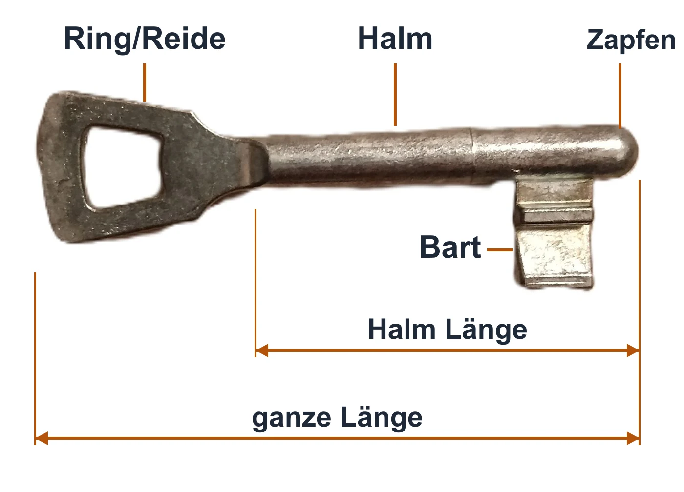 Buntbartschlüssel mit beschrifteten Teilen und den Maßen Halm Länge und ganze Länge