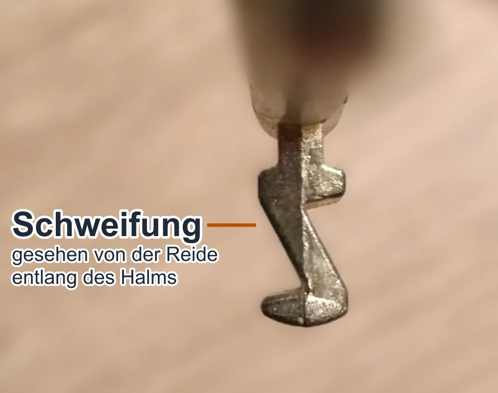 Bart eines Buntbartschlüssels von vorn mit der Schweifung als Umriss